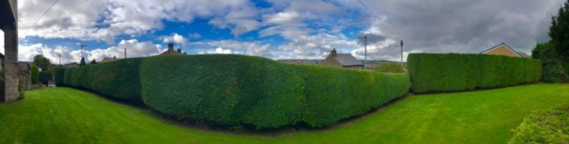 Hedge Work