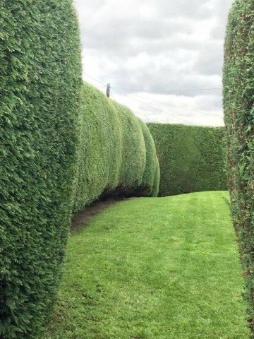 Hedge Work