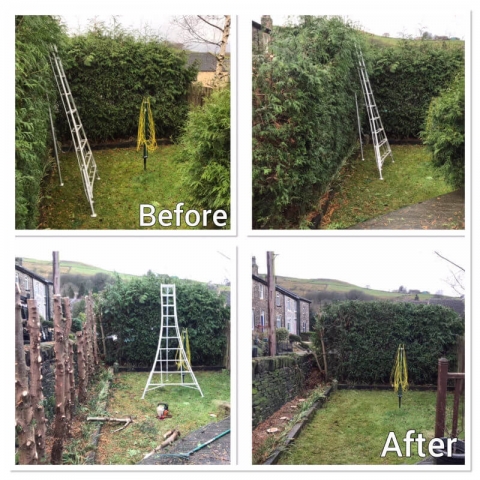 Hedge Work