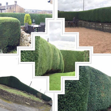 Hedge Work