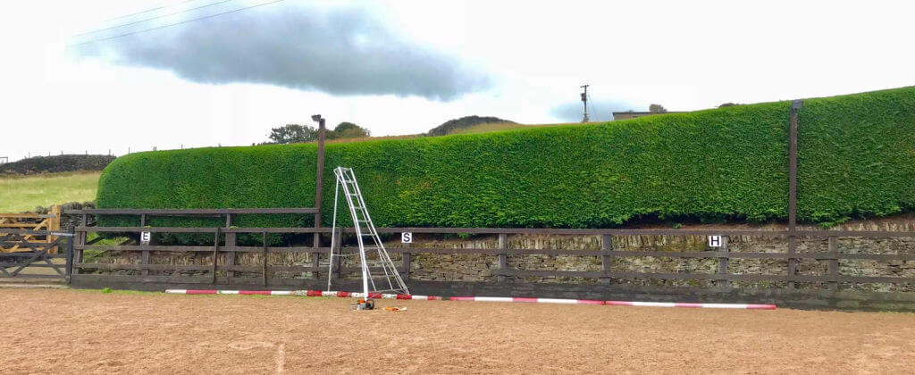 Trimming and Hedge Work